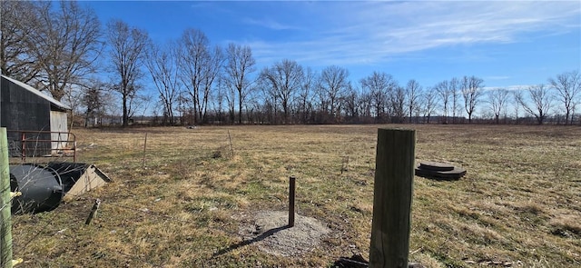 view of yard featuring a rural view