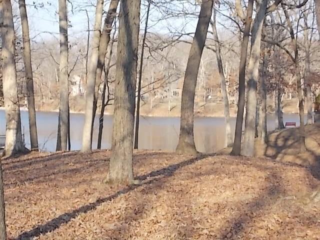 30 Oak Tree Ln, Pana, IL 62557