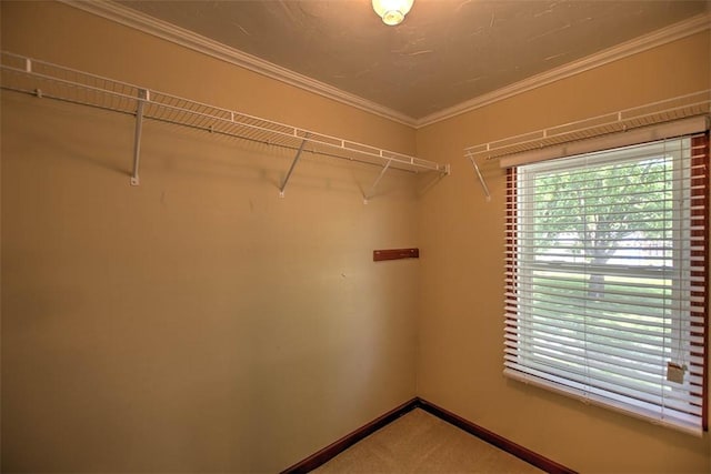 935 Woodland Dr, Mt Zion, IL 62549 - walk in closet featuring carpet