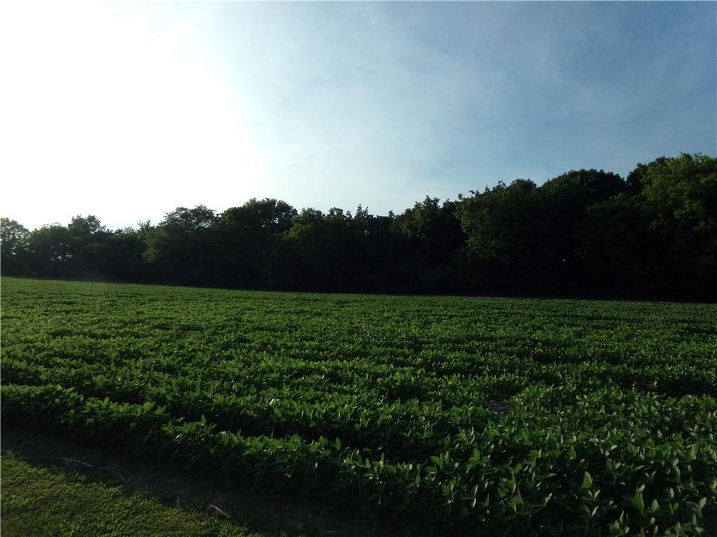 10 Deer Lake Est, Findlay, IL 62534