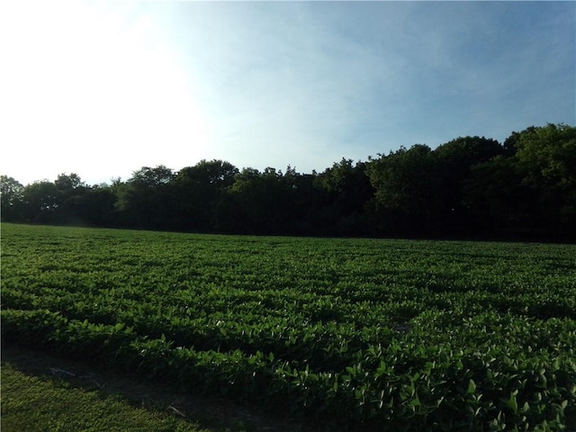 10 Deer Lake Est, Findlay, IL 62534
