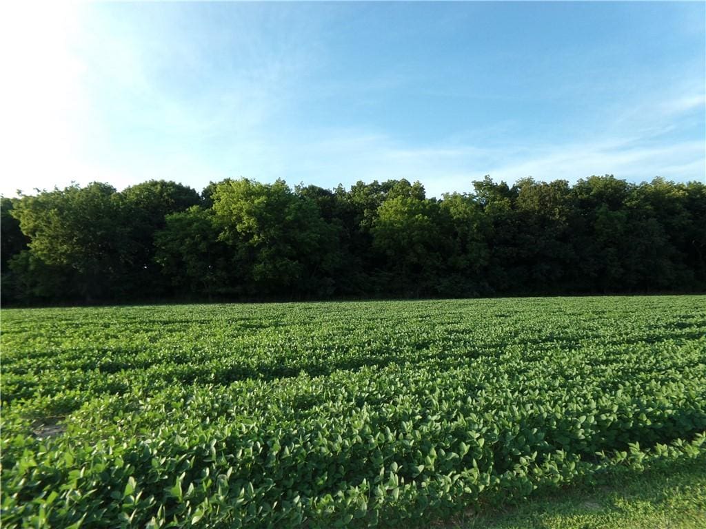 10 Deer Lake Est, Findlay, IL 62534