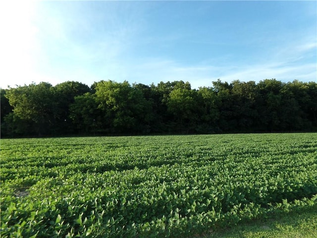 10 Deer Lake Est, Findlay, IL 62534