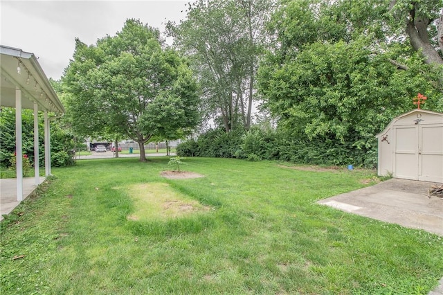 820 Oklahoma Ave, Mattoon, IL 61938 - view of green lawn featuring a shed