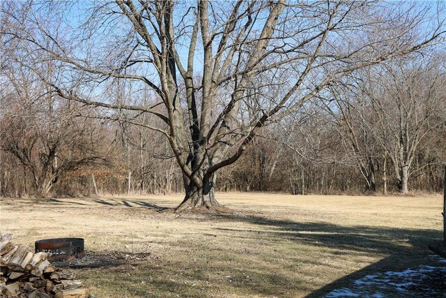 1741 Murray Clark Rd, Danville, IL 61832 - view of yard