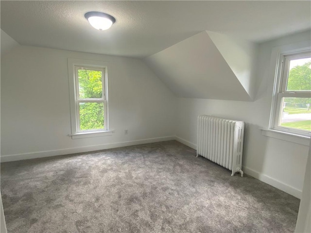 101 S Sheridan St, Pana, IL 62557 - bonus room featuring radiator, lofted ceiling, carpet floors, baseboards, and a textured ceiling