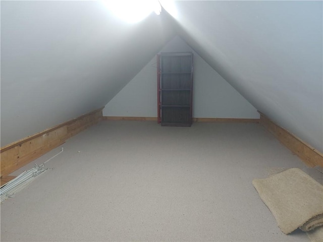21491 N 1150th St, Marshall, IL 62441 - additional living space with lofted ceiling and carpet