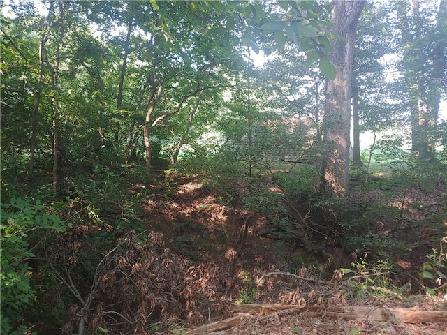 21491 N 1150th St, Marshall, IL 62441 - view of wooded area