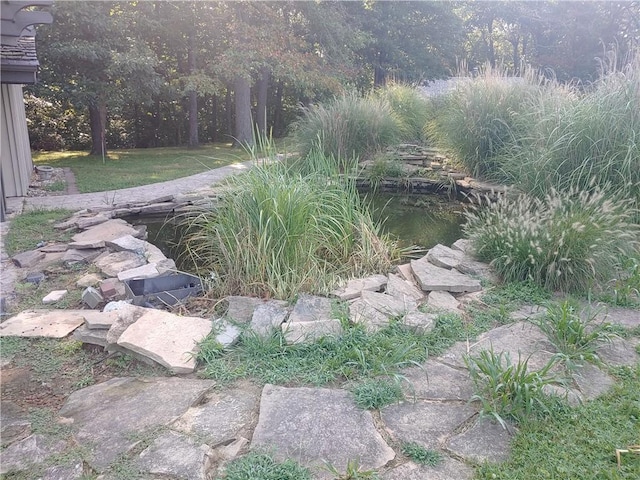 21491 N 1150th St, Marshall, IL 62441 - view of yard