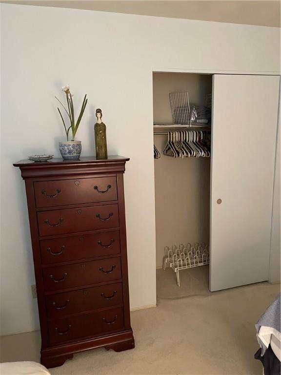 1101 Robinwood Dr, Robinson, IL 62454 - view of closet