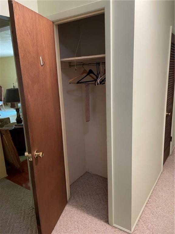 1101 Robinwood Dr, Robinson, IL 62454 - view of closet