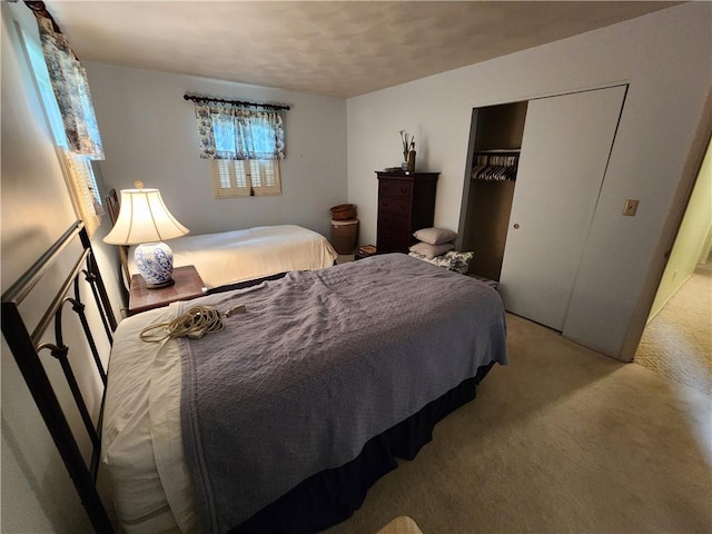 1101 Robinwood Dr, Robinson, IL 62454 - bedroom featuring light colored carpet and a closet