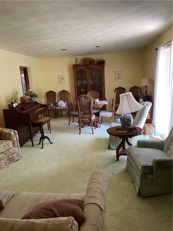 1101 Robinwood Dr, Robinson, IL 62454 - living room featuring carpet flooring