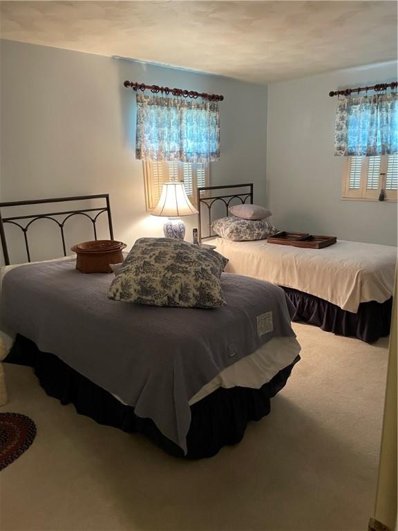 1101 Robinwood Dr, Robinson, IL 62454 - bedroom with carpet and multiple windows