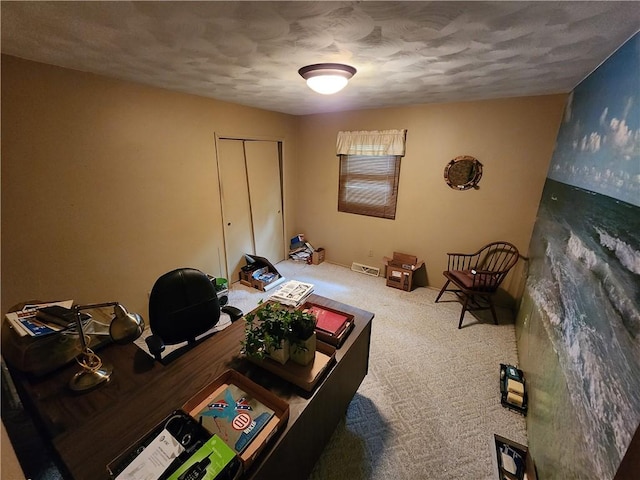 1101 Robinwood Dr, Robinson, IL 62454 - office space with carpet floors and a textured ceiling
