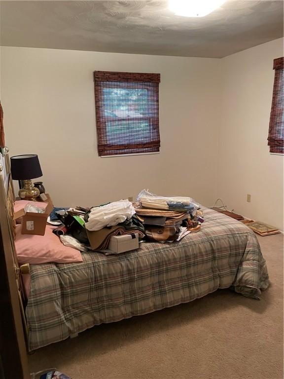 1101 Robinwood Dr, Robinson, IL 62454 - view of carpeted bedroom