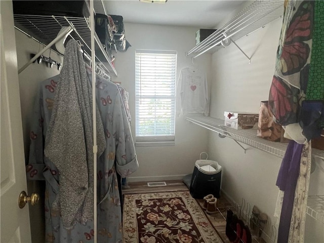 1215 Westside Dr, Mt Zion, IL 62549 - view of spacious closet