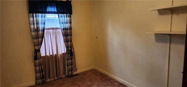 spare room with carpet floors