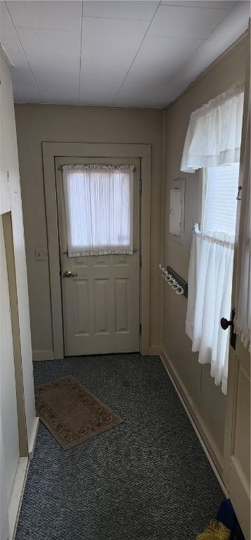 entryway featuring carpet floors