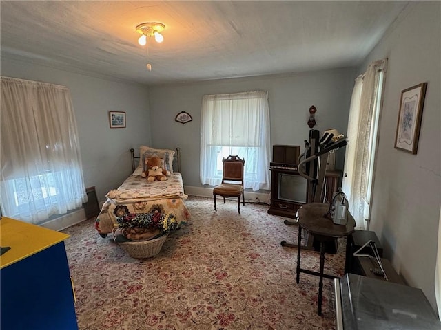 living area featuring carpet flooring