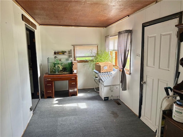 misc room featuring carpet flooring