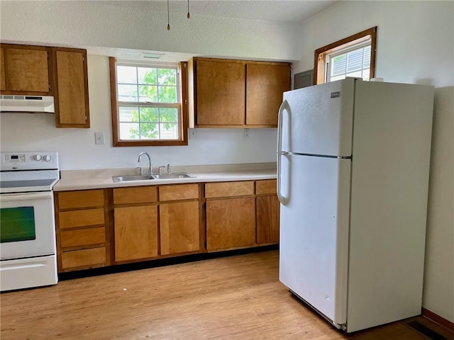 621 Piatt Ave, Mattoon, IL 61938 - kitchen with white appliances, under cabinet range hood, a sink, and brown cabinetry