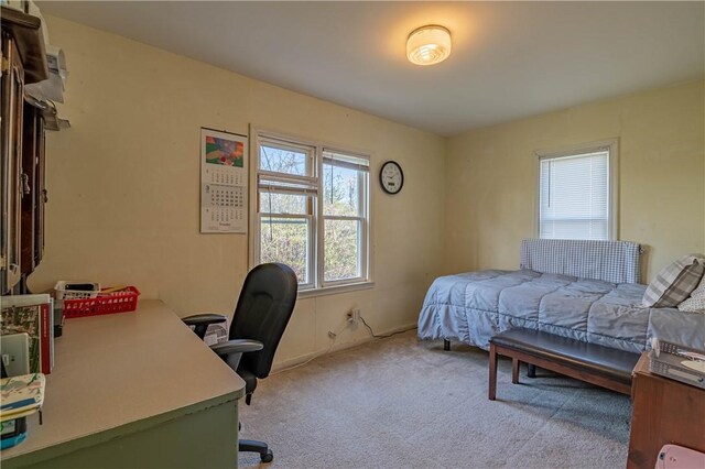 3939 NE Court Dr, Decatur, IL 62526 - bedroom with carpet
