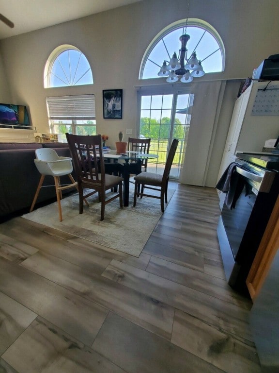 607 Beyers Lake Est, Pana, IL 62557 - dining area with healthy amount of natural light, a chandelier, and wood finished floors