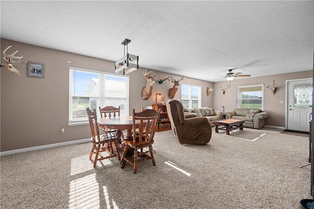17200 E 1350th Rd, Marshall, IL 62441 - photo 6