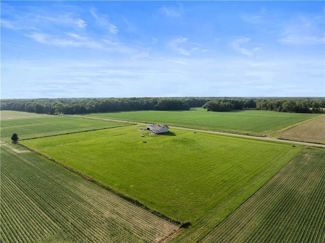 17200 E 1350th Rd, Marshall, IL 62441 - photo 30