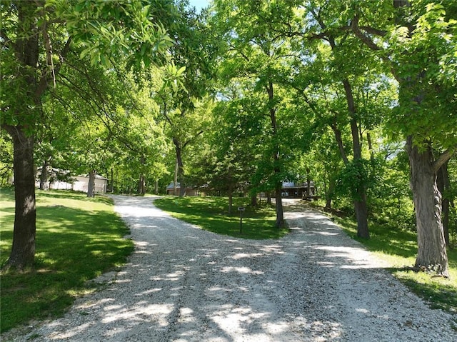 4276 W Wander Rd, Williamsport, IN 47993 - photo 47