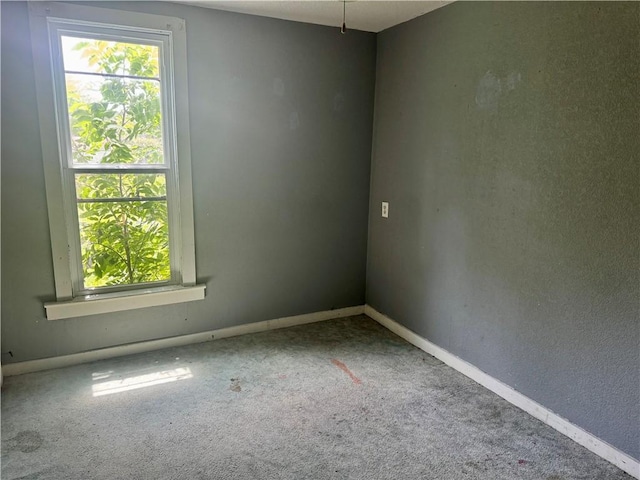 101 S Van Buren St, Watson, IL 62473 - photo 8