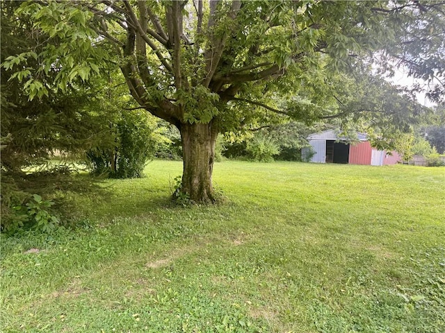 101 S Van Buren St, Watson, IL 62473 - photo 11