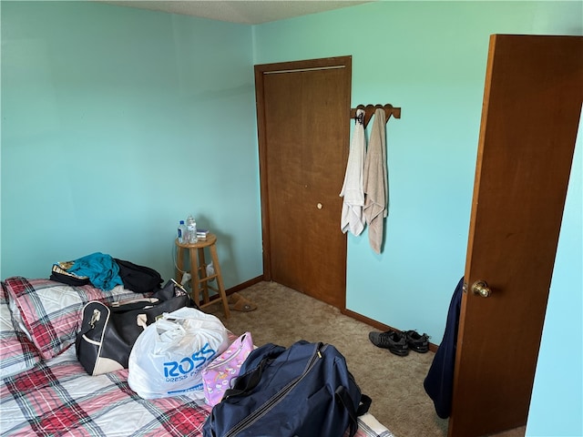 19292 Spring Hill Rd, Sumner, IL 62466 - photo 19