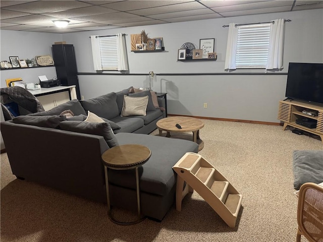 living room with a paneled ceiling, carpet floors, and baseboards