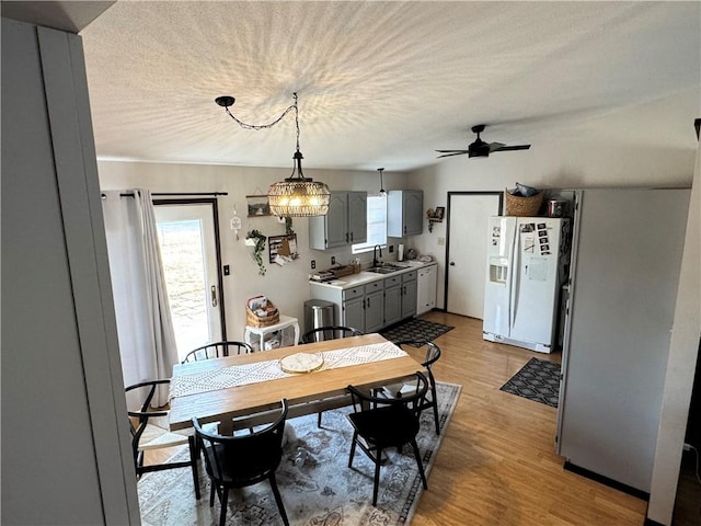 dining area featuring a ceiling fan, light wood-type flooring, and a textured ceiling