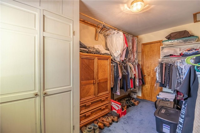 5353 E Reas Bridge Rd, Decatur, IL 62521 - walk in closet featuring carpet