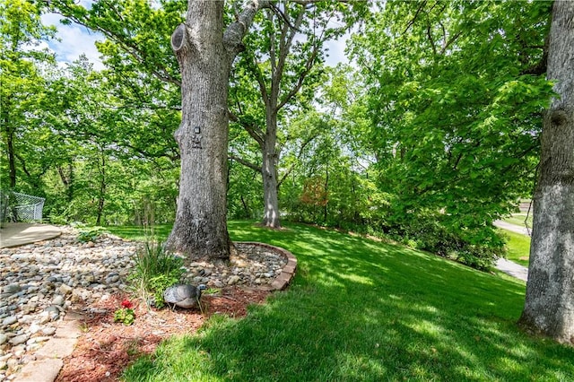 5353 E Reas Bridge Rd, Decatur, IL 62521 - view of grassy yard