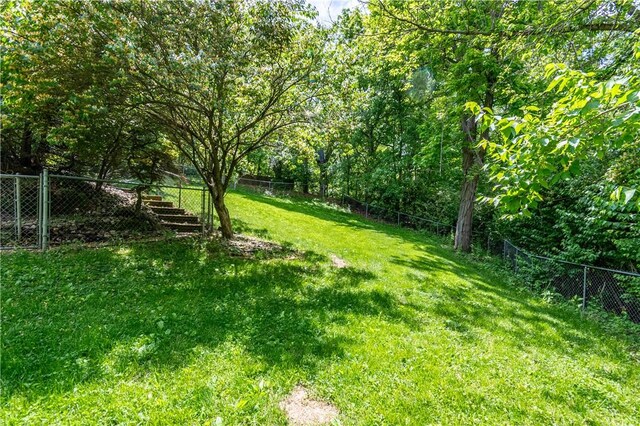 5353 E Reas Bridge Rd, Decatur, IL 62521 - view of yard