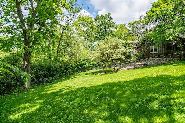 5353 E Reas Bridge Rd, Decatur, IL 62521 - view of yard