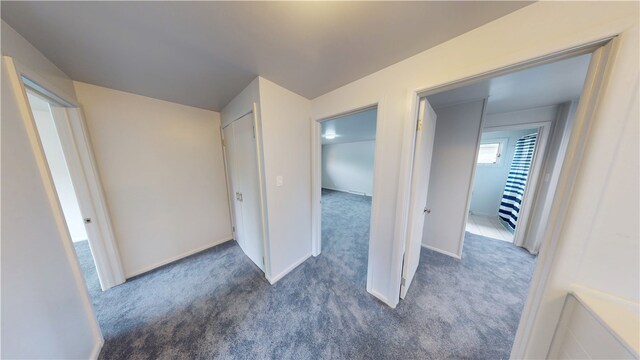 804 W Roselawn St, Danville, IL 61832 - photo 17