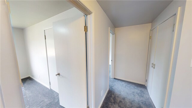 804 W Roselawn St, Danville, IL 61832 - photo 26