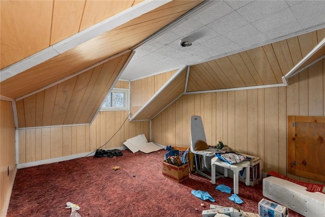 311 Lafayette St, Newton, IL 62448 - additional living space featuring wooden walls and carpet floors