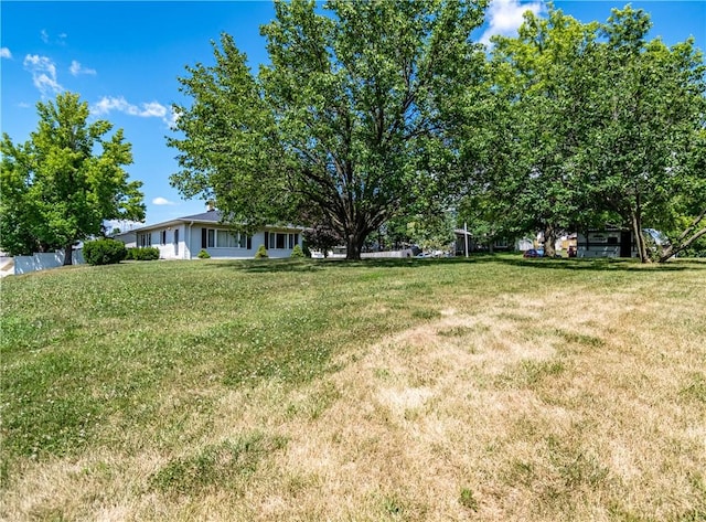 1059 Columbia Dr, Decatur, IL 62522 - view of green lawn
