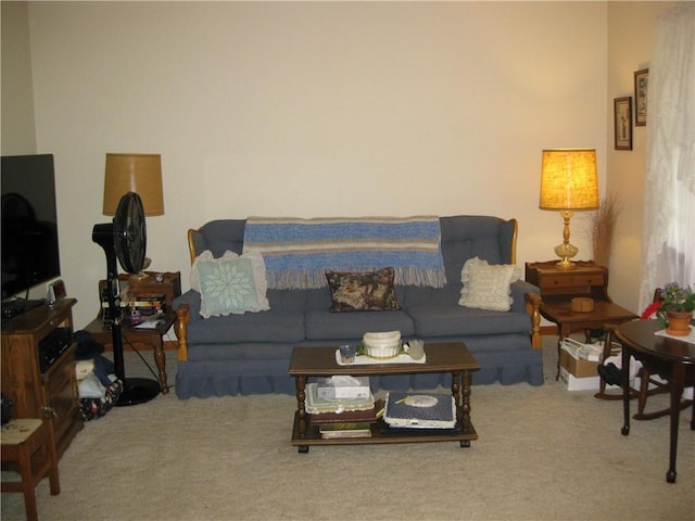 517 Coolidge Ave, Charleston, IL 61920 - living room with carpet flooring