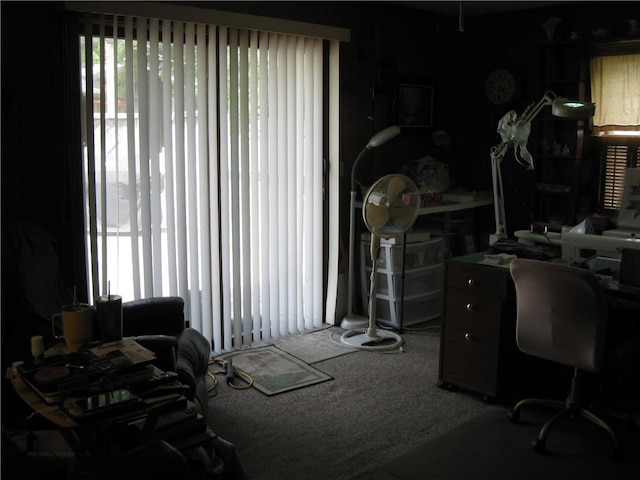 517 Coolidge Ave, Charleston, IL 61920 - view of carpeted office space