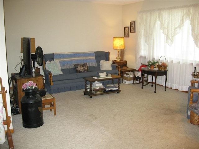 517 Coolidge Ave, Charleston, IL 61920 - living area with carpet