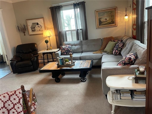 carpeted living room featuring crown molding