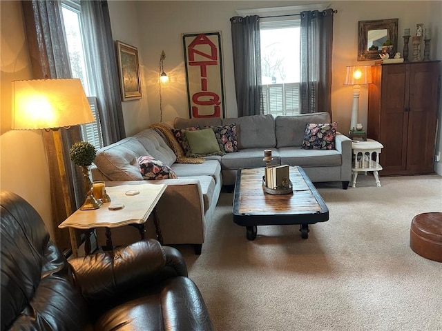 view of carpeted living area
