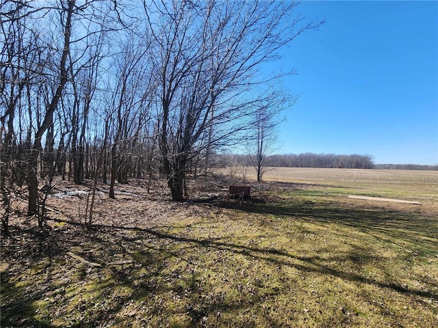 view of yard featuring a rural view